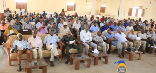 Assessment Meeting on Progress of Agricultural Activities – Eritrea Ministry Of Information